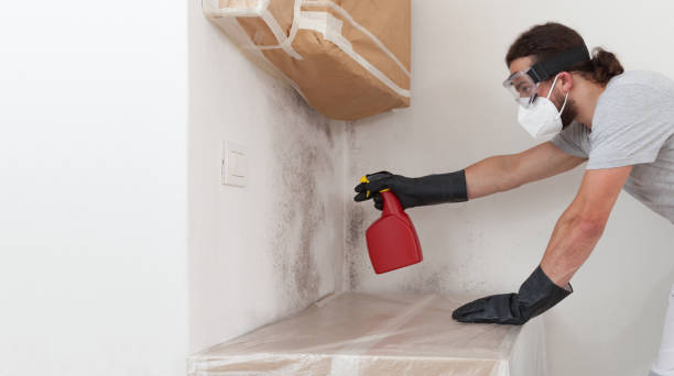 Professional Attic Mold Remediation technician working in Randolph, NJ