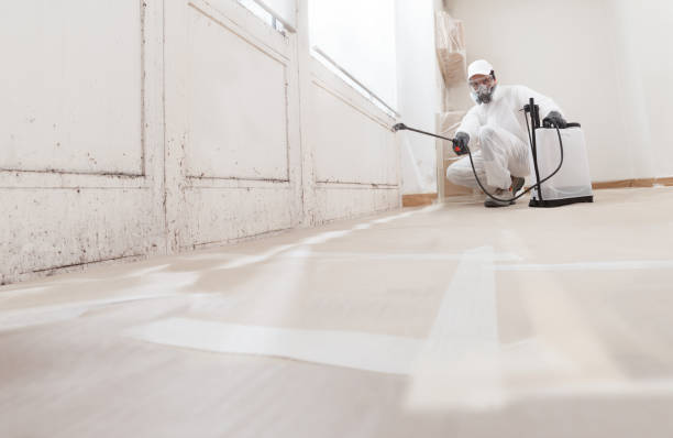 24/7 Emergency Attic Mold Remediation experts in Randolph, NJ